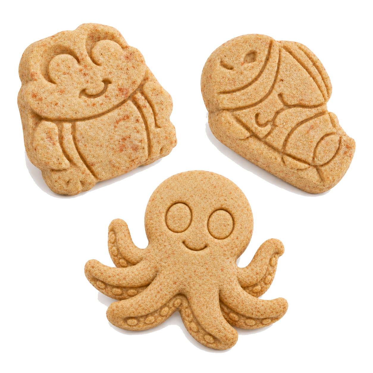 Sea Animals